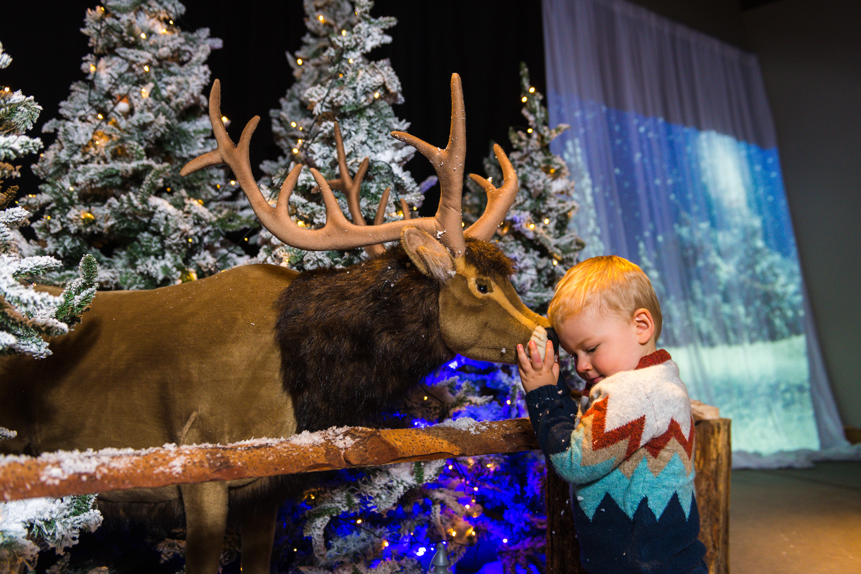 A Magical Christmas Experience Reindeer and Reuben Cowan