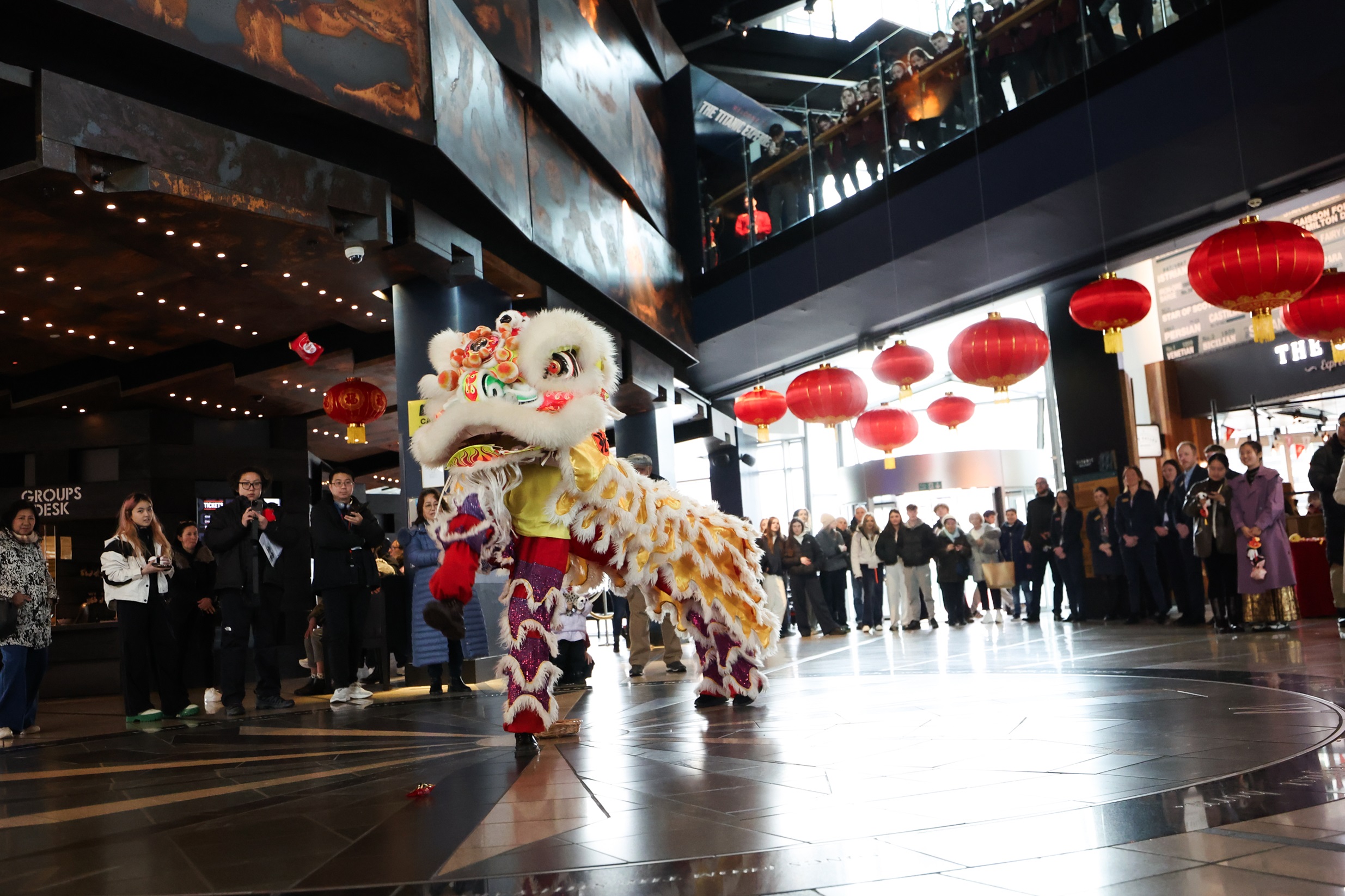 Lion dance - chinese new year