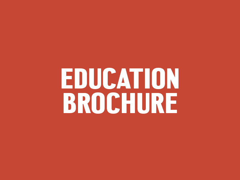 Education Brochure Icon